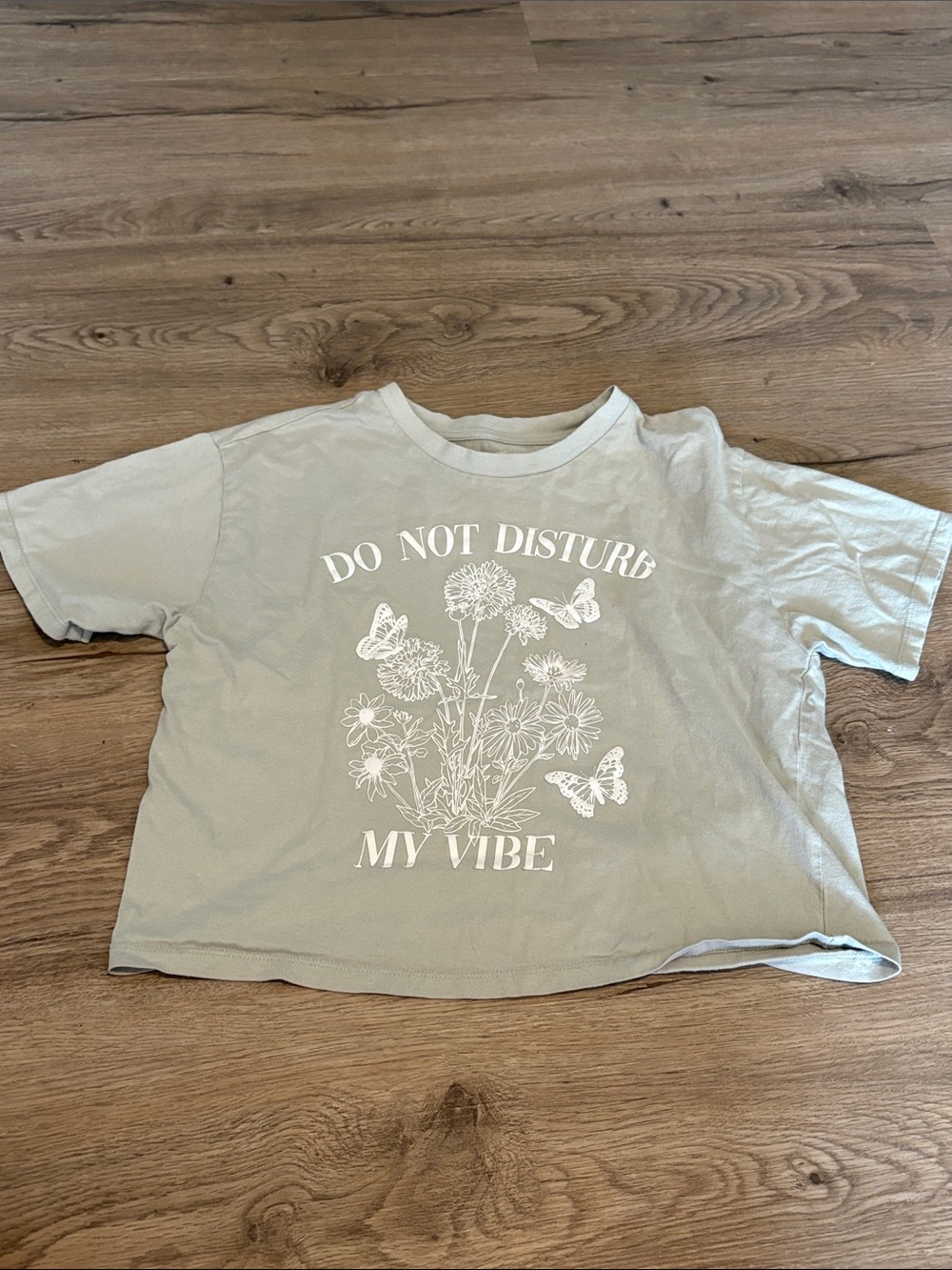 Sage Green "Do Not Disturb My Vibe" Short Sleeve Graphic Tee